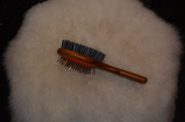 BROSSE POUR LES CRAINS 2 COTES