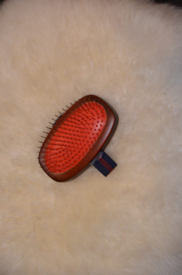 BROSSE POUR LES CRAINS