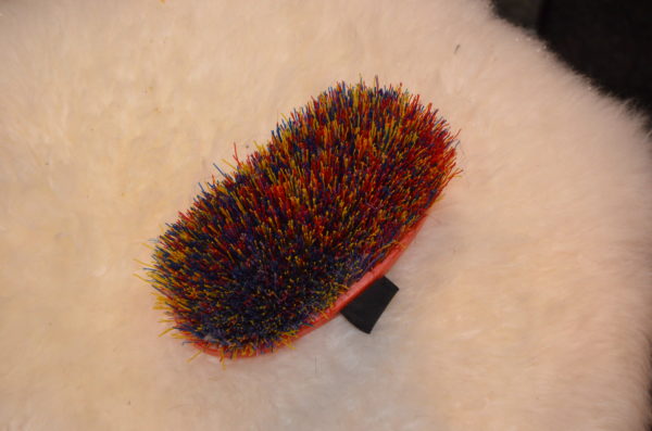 Brosse dure - multicolor