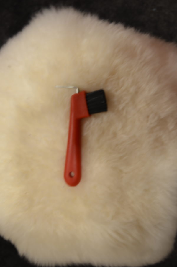 CURE PIEDS AVEC BROSSE ROUGE