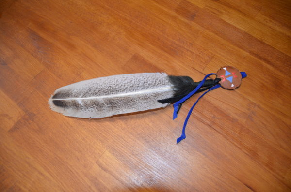 Plume pour chapeau (D)